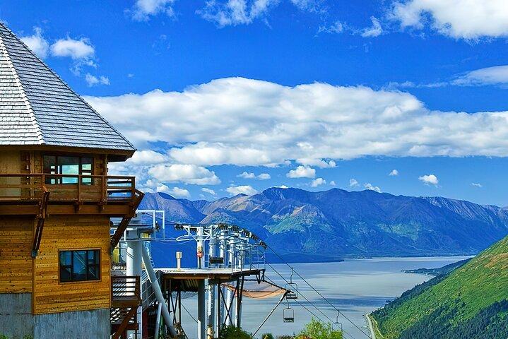 Visite privée d'une journée d'Ultimate Anchorage et Turnagain Arm