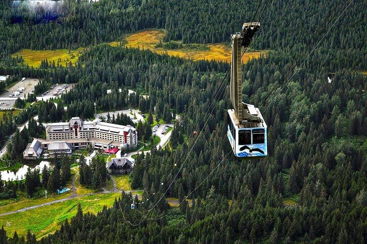 Ultieme Anchorage en Turnagain Arm Private Full Day Tour