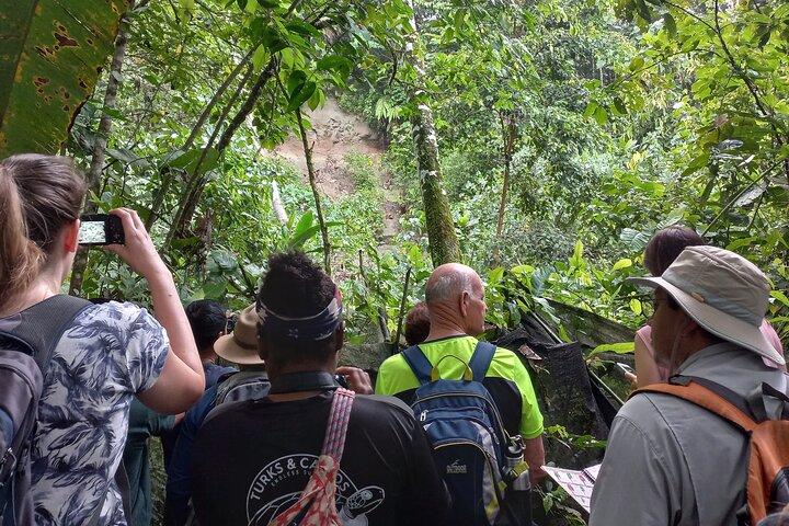 4-Day Amazon Rainforest & Hot Springs: All-Inclusive / Private