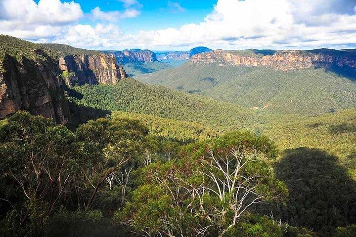 Tour Privado Blue Mountains desde Sydney