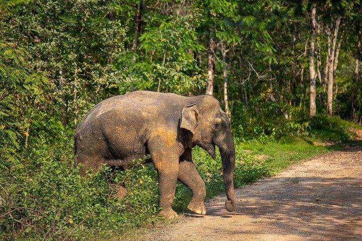 Excursão privada de 2 dias: Kui Buri Wildlife Safari e Sam Roi Yod National Park