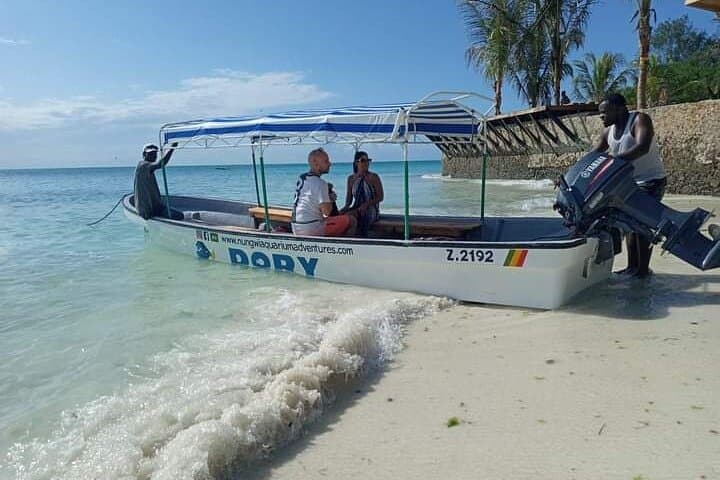 5-Hour Snorkeling, Swimming with Dolphins and Sea Turtles Aquarium