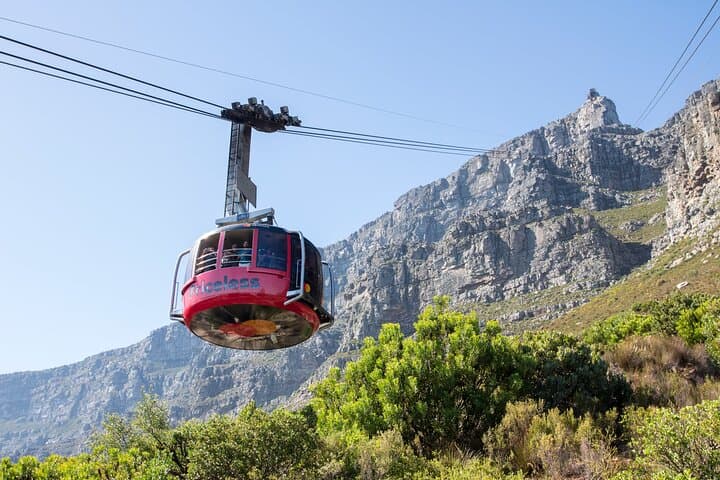 Cape Town Ziplining Wine Tasting and Table Mountain Private Tour