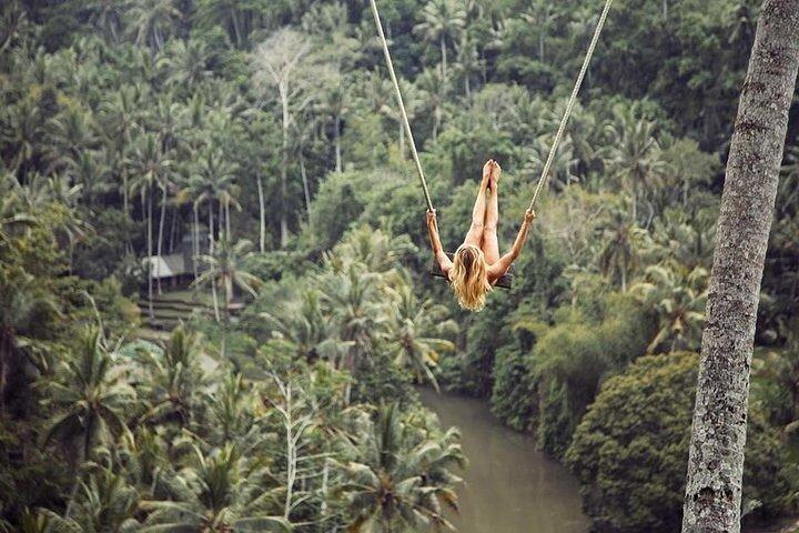 Tour privado a la cascada de Tibumana, terrazas de arroz y Jungle Swing