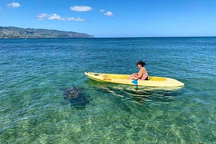 Stand Up Paddle Nature and Turtle tour-Guaranteed to see turtles