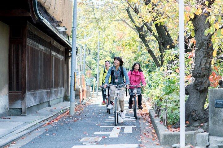 京都裏通りサイクリング プライベート ツアー英語を話すガイド