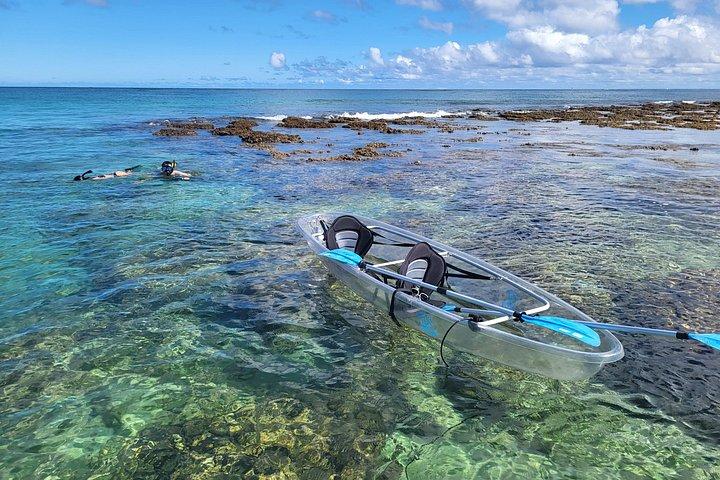 Clear Bottom Kayak - Guaranteed to see Turtles!