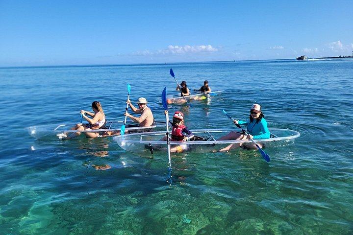 Clear Bottom Kayak - Guaranteed to see Turtles!