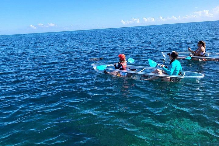 Clear Bottom Kayak - Guaranteed to see Turtles!