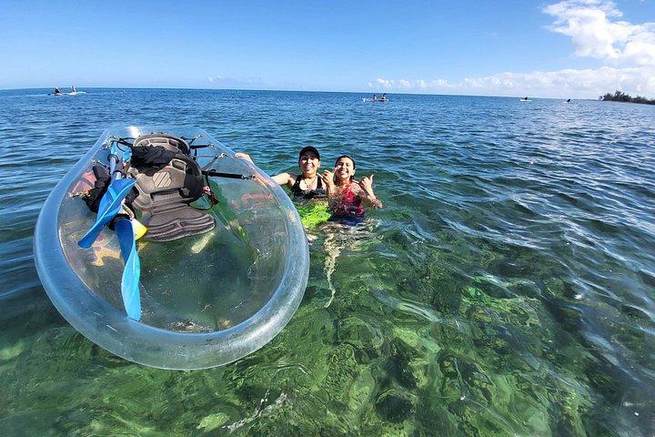 Clear Bottom Kayak - Guaranteed to see Turtles!