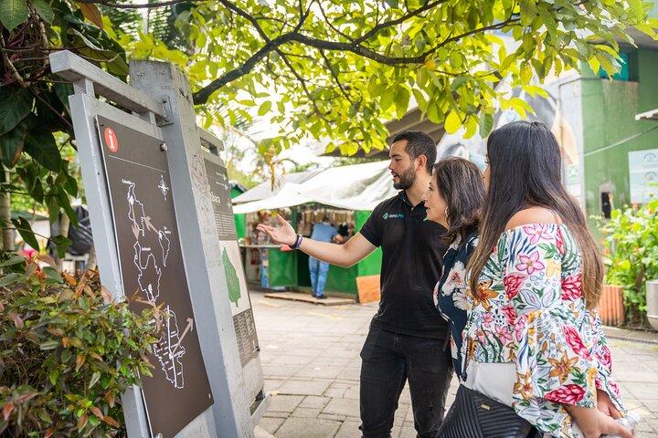 Visite de Medellín : véhicules à thème, trajet en tramway et métrocâble