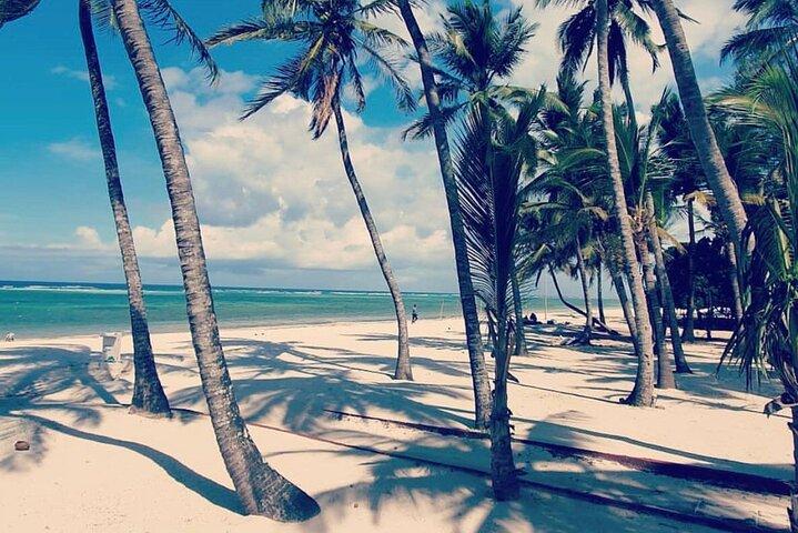 Experiência privada de 9 dias em Bush e praia