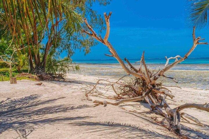 Experiência privada de 9 dias em Bush e praia