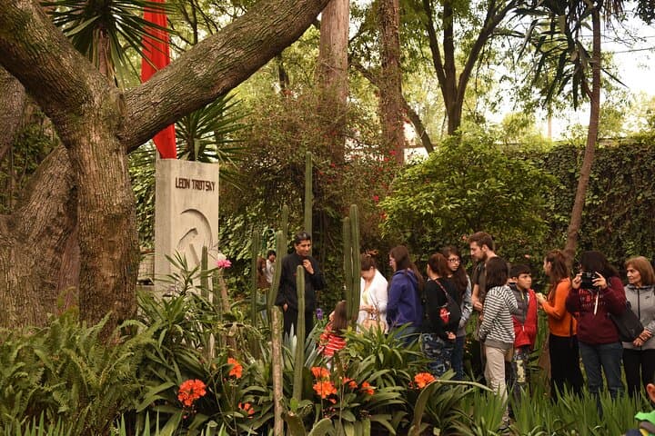 Frida Kahlo Tour: A Journey Through Her Art Casa Roja