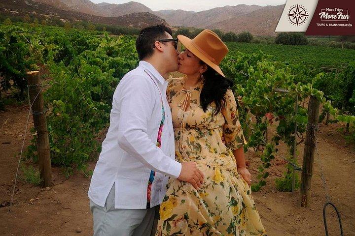 Valle de Guadalupe winery and brewery tours