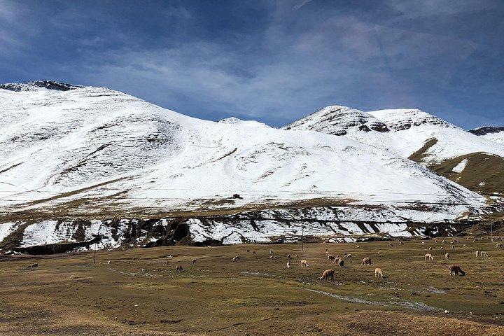 Palccoyo Rainbow Mountain e Stone Forest di Cusco