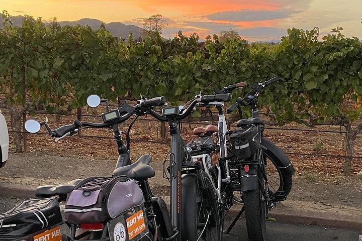 Full Day E-Bike Rental