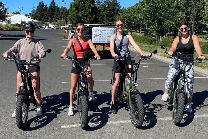 ピクニック ランチ付きセルフガイド 1 日電動自転車レンタル
