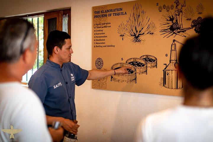 Secret Agave Bar Crawl in Vallarta