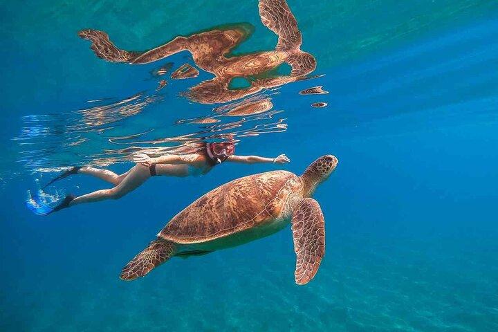 Waikiki aventura de snorkeling