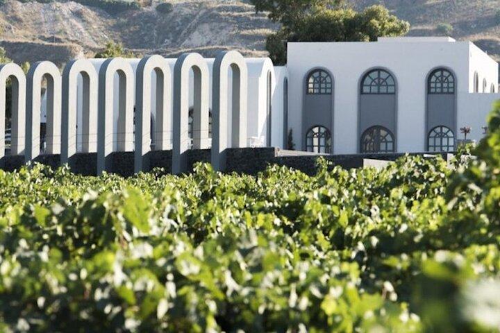 Halvdag privat vinprovningstur i Santorini