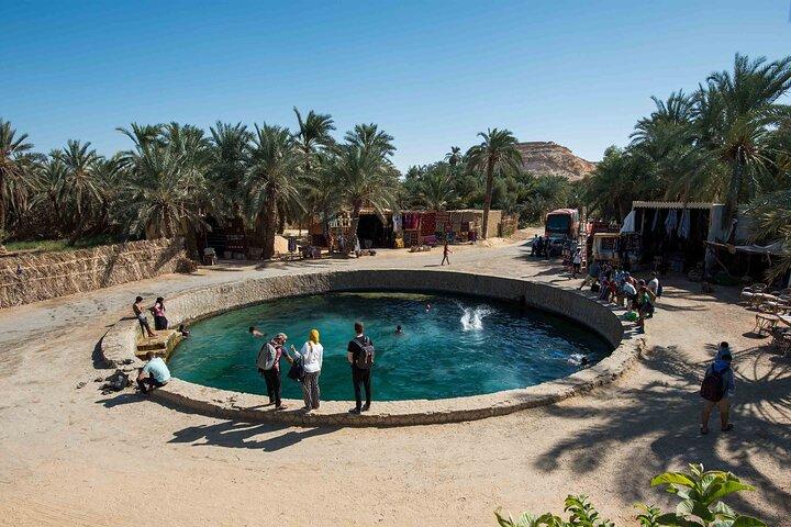 From Cairo Sulfur & Salt Lake Swim, 4x4 Safari & Siwa Oasis Tour