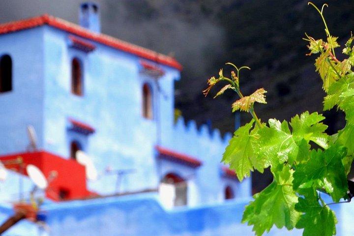 Private Morocco Tours, Custom Itinerary & Local Experiences