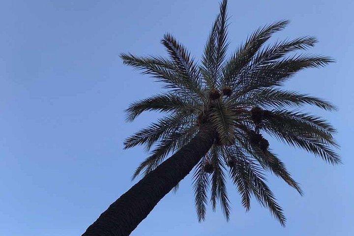 Private Morocco Tours, Custom Itinerary & Local Experiences