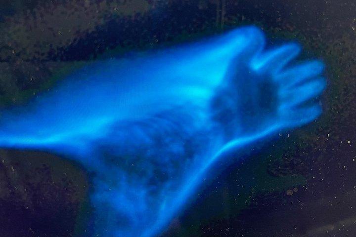 カヤックまたはパドルボードでの生物発光ツアー