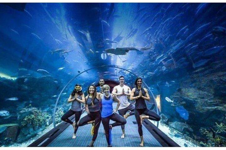 Dubai Mall Aquarium med Penguin Cove + Skyview-billet