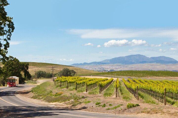 4 timers vintur i Livermore Valley