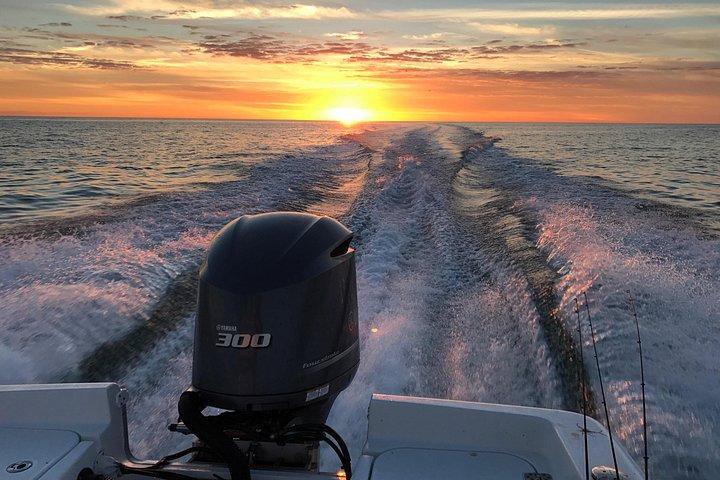 イルカ ウォッチング、島への小旅行、ネイチャー ツアーを提供するプライベート ボート