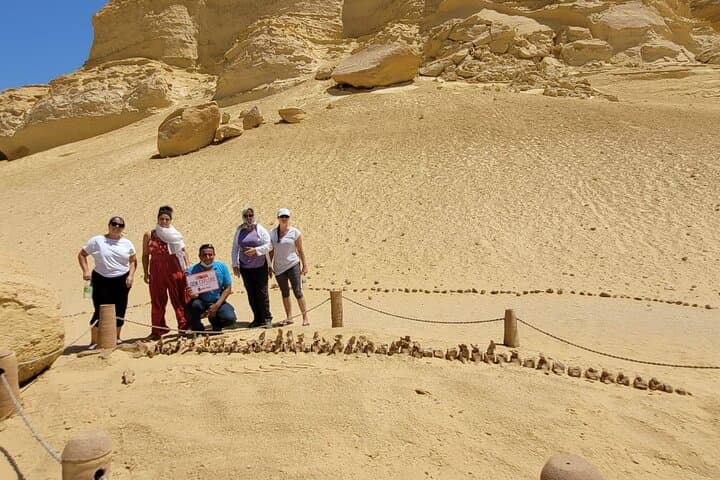 Fayoum Adventure: Whales Valley,4x4 Desert Safari & Wadi Rayan