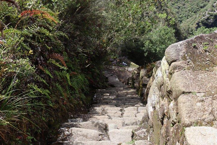 Inkaleden 4 dagar till Machu Picchu