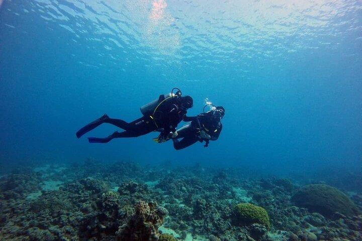 3-Day Open Water Scuba Diving Course in Aqaba