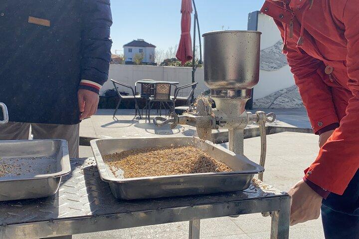 Bierbrau-Workshop in Shanghai mit Fermentationsküche