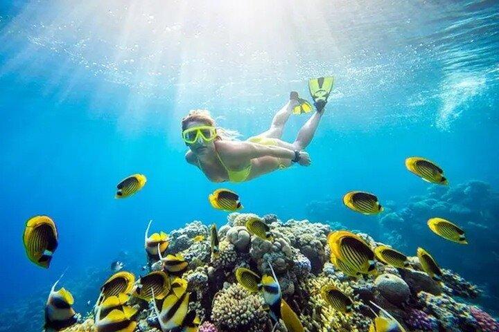 Canyon og Blue Hole Snorkeltur med frokost fra Dahab