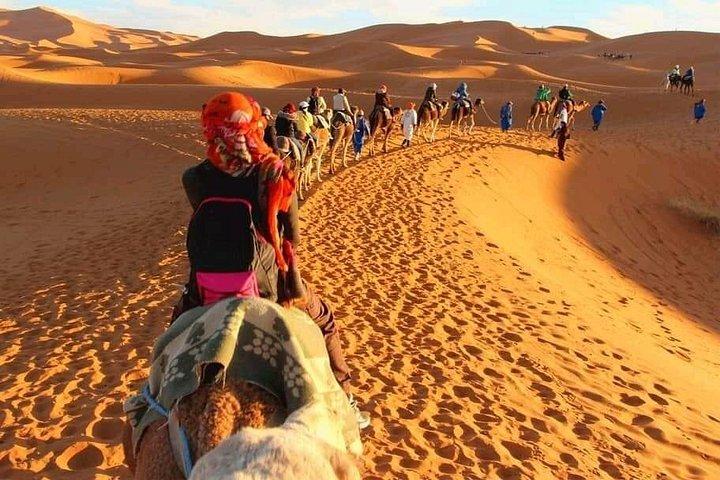 マラケシュからフェズへのピックアップ付き砂漠旅行。