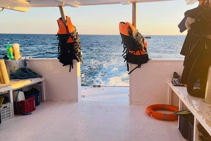 Ras Mohammed & white island シュノーケリング、Sharm El Sheikhへのボートトリップ付きダイビング