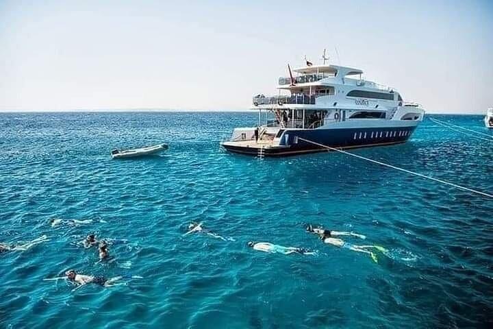 Ras Mohammed & white island シュノーケリング、Sharm El Sheikhへのボートトリップ付きダイビング