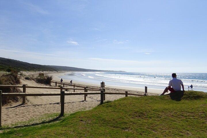Heldags Great Ocean Road og 12 Apostles Tour