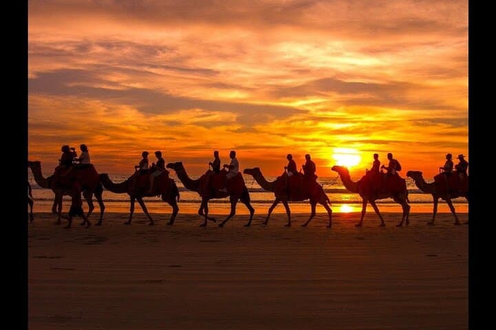 Camel ride + sunset + BBQ dinner in Agadir