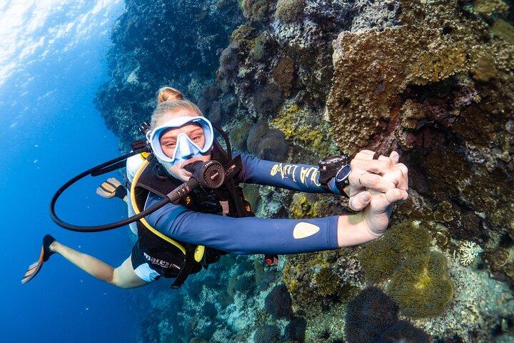 Open Water Cursus - Word gecertificeerd duiker in 3 dagen