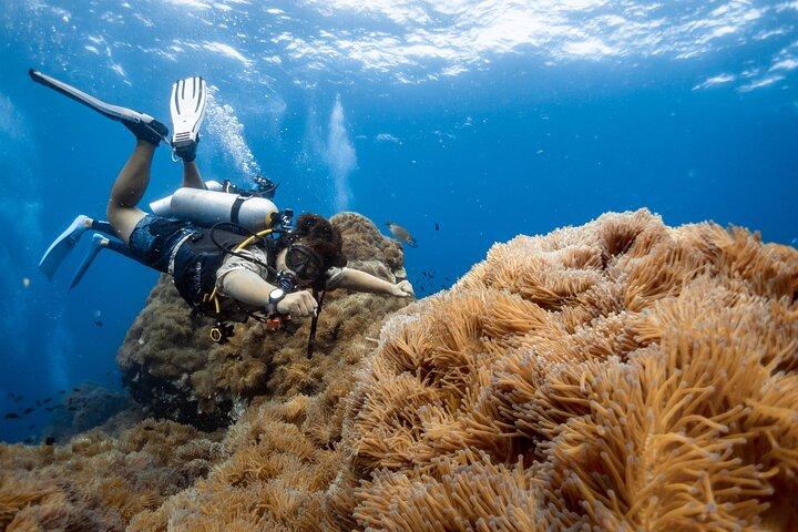Open Water Cursus - Word gecertificeerd duiker in 3 dagen