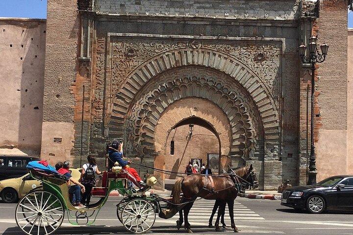 Horse carriage tours Majorelle-Menara garden & the YSL museum