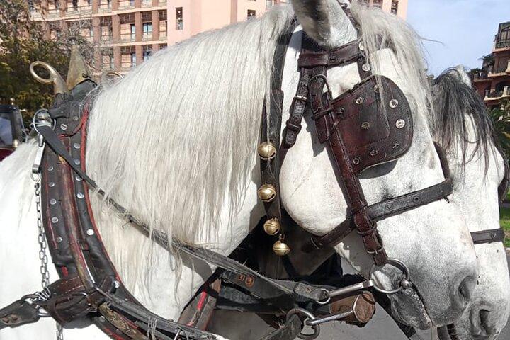 Horse carriage tours Majorelle-Menara garden & the YSL museum