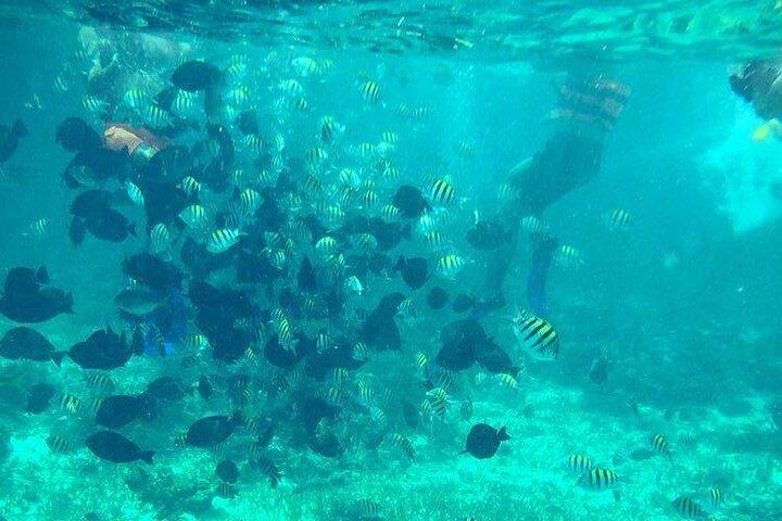 Aventura de Jetski e Snorkel em Cancún