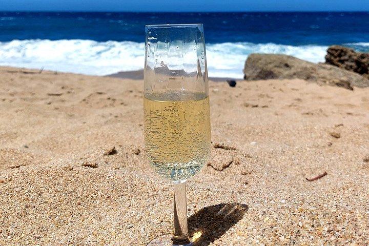 プライベートリスボン海岸ツアー－アラビダ、セシンブラ、ビーチピクニック