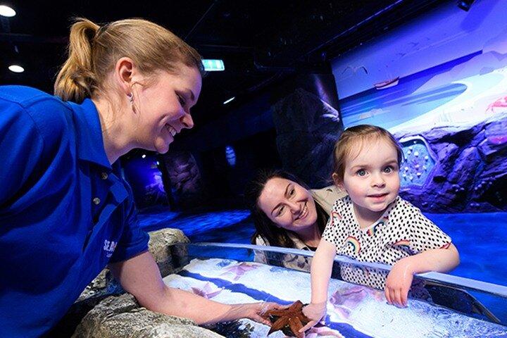 ロンドン水族館の入場券