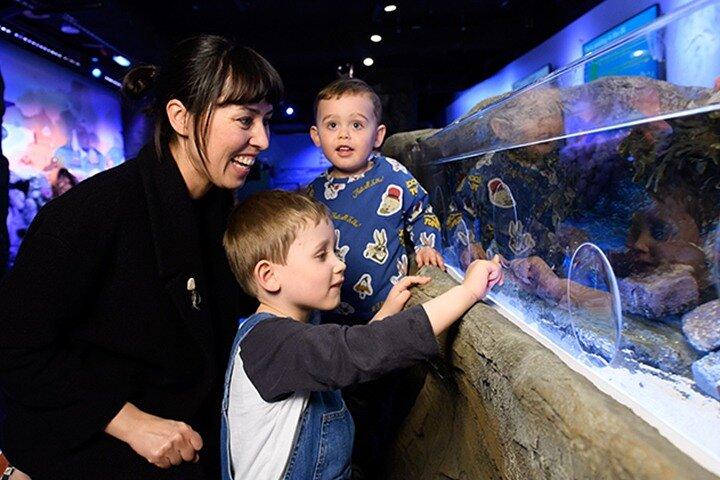 ロンドン水族館の入場券